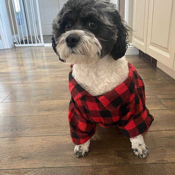Black & Red Flannel Shirt - Picture 3 of 6